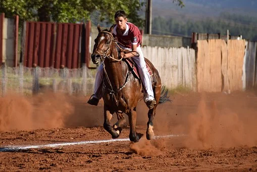 Skoki przez przeszkody na koniu – jak to wygląda w praktyce?
